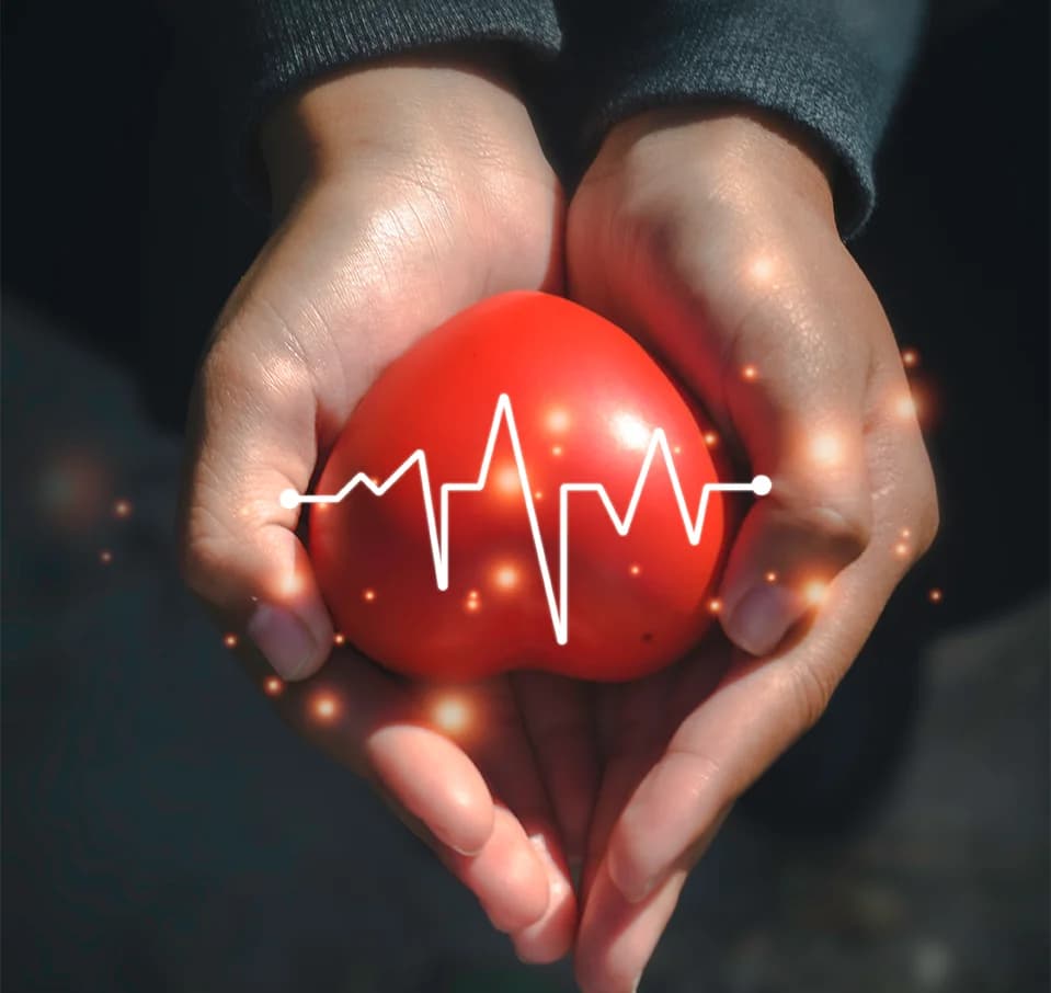 Hands holding heart with heartbeat
